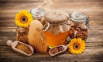 Apiterapia per il trattamento delle vene varicose sulle gambe