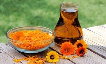 Calendula per il trattamento delle vene varicose
